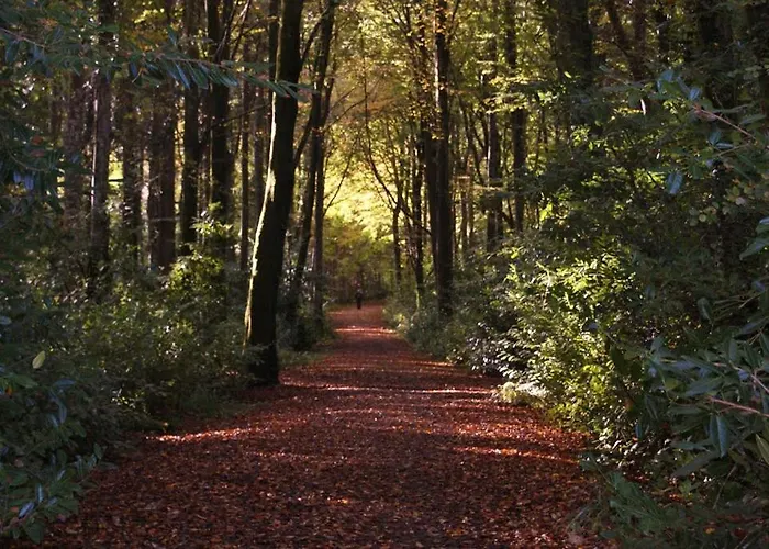 Modern Town House Apartment